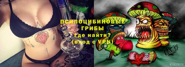 метадон Армянск