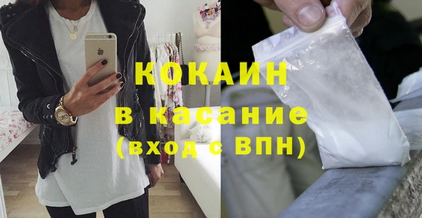 твердый Аркадак